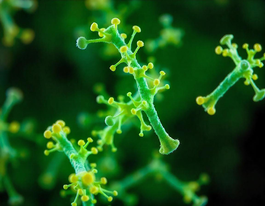 77 x 59pikaso_texttoimage_monoclonal-antibodies complex molecule