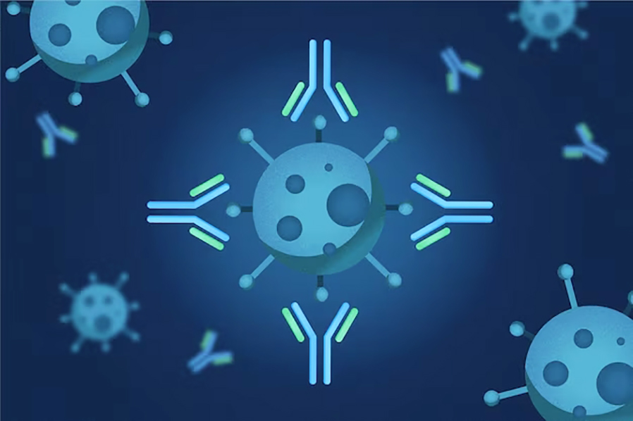 Parte 2 - tema-molecula-inmunoglobulina-anticuerpo_23-2148573169 Antibody molecule