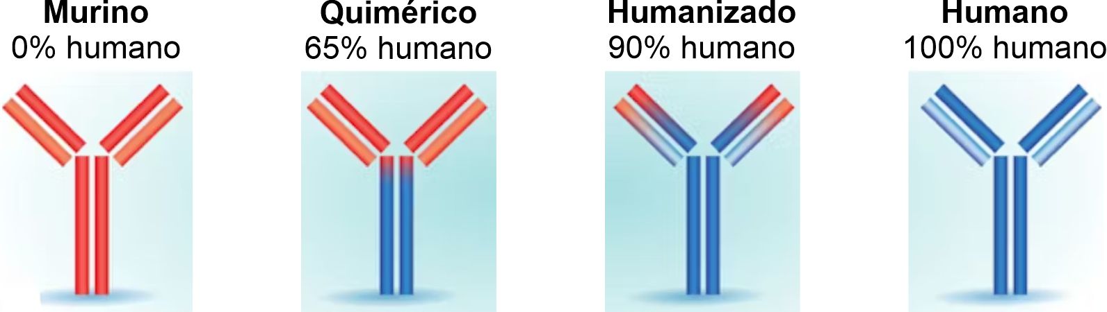 Tabla esquema Anticuerpos monoclonales - Parte 4 Antibodies type