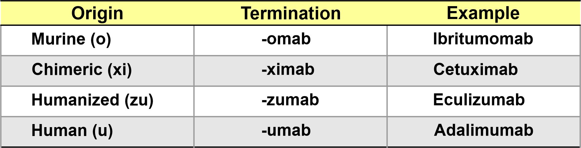 10. 2024. 10. 08. Table - Parte 5 Types of monoclonal antibodies