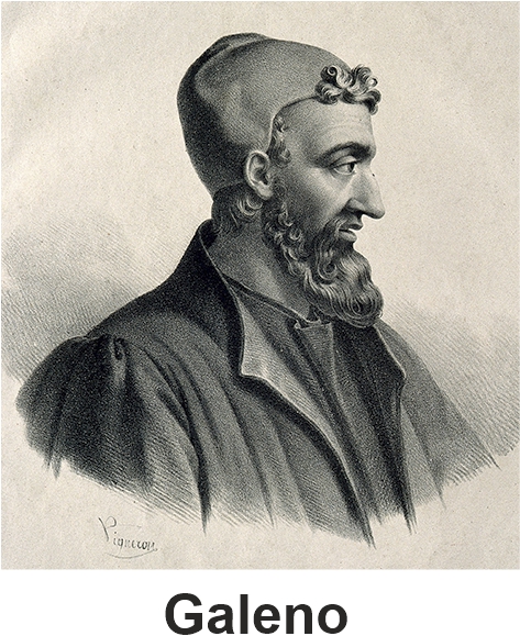Experto - Galeno Galenus